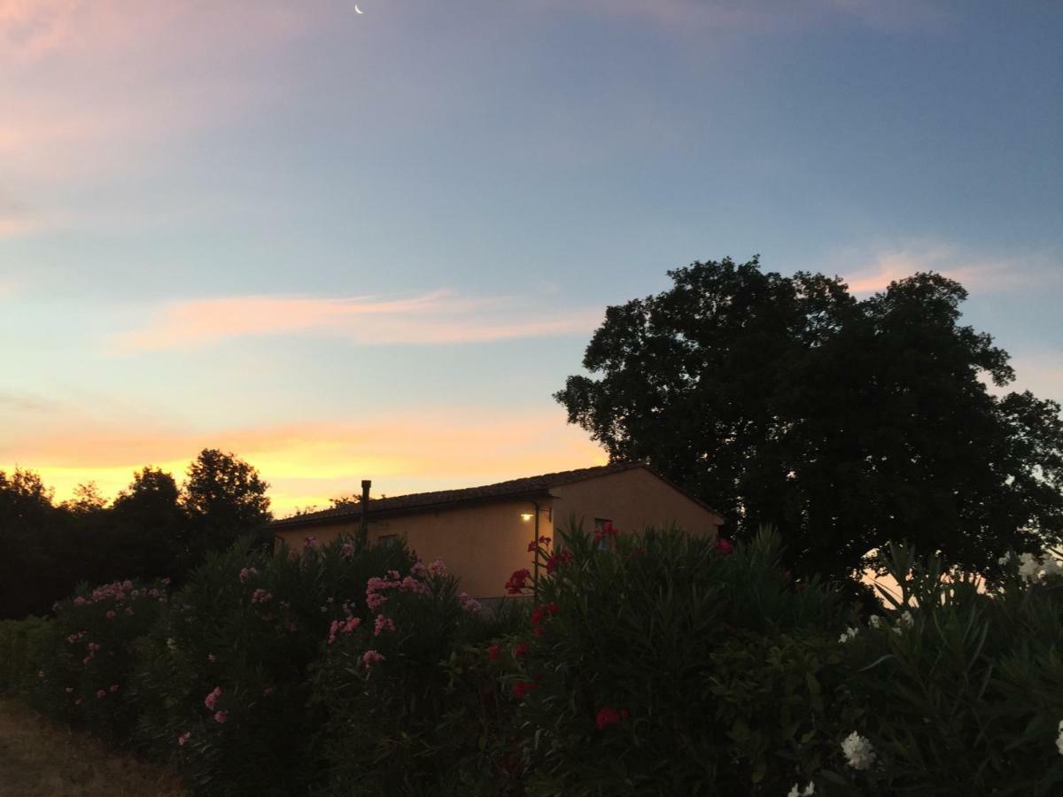 Agriturismo Pieve De Pitti Terricciola Luaran gambar