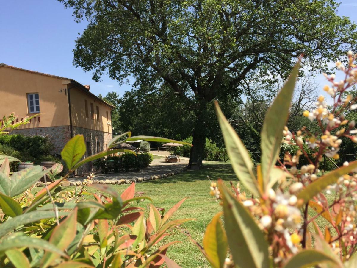 Agriturismo Pieve De Pitti Terricciola Luaran gambar
