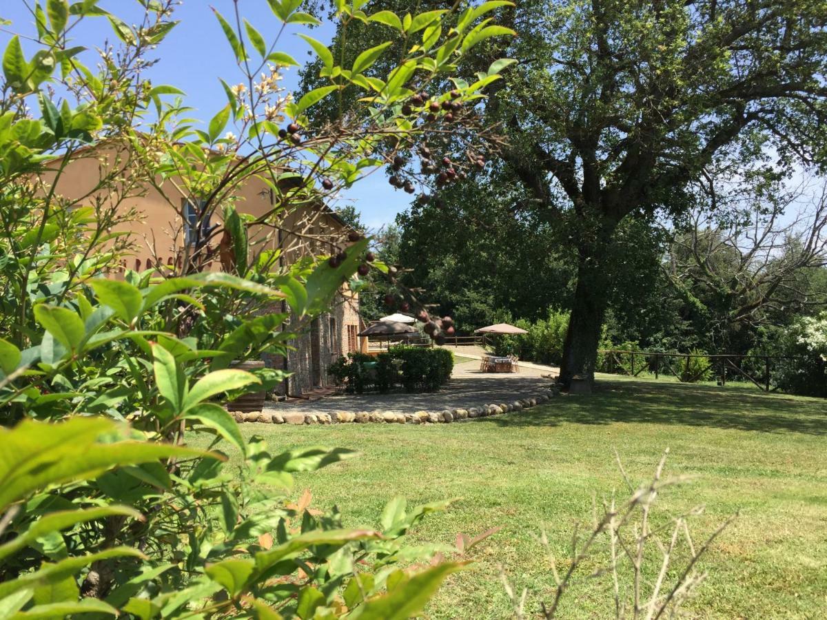 Agriturismo Pieve De Pitti Terricciola Luaran gambar