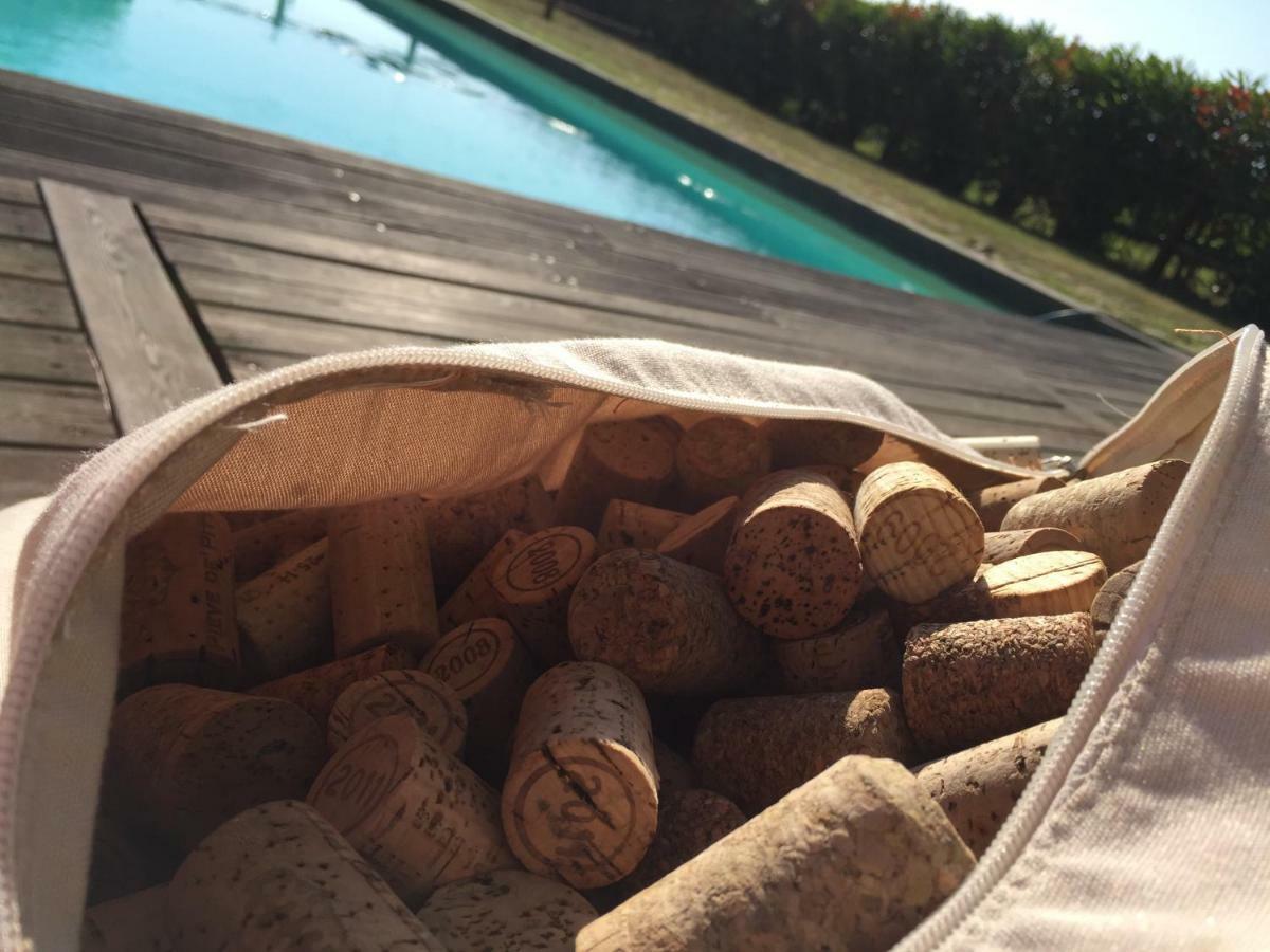 Agriturismo Pieve De Pitti Terricciola Luaran gambar