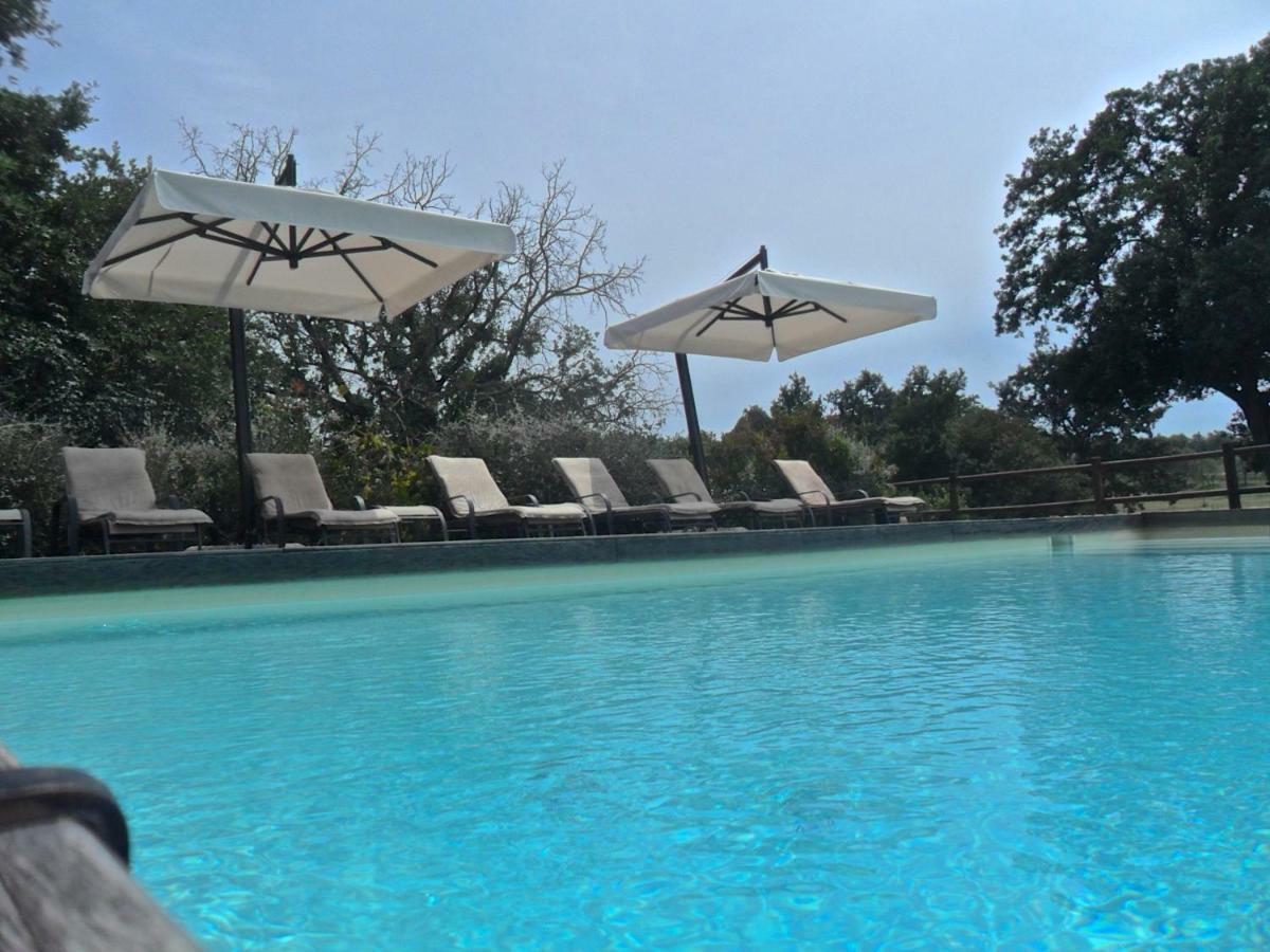 Agriturismo Pieve De Pitti Terricciola Luaran gambar